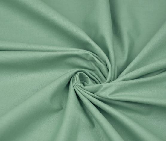 _Vert Sauge